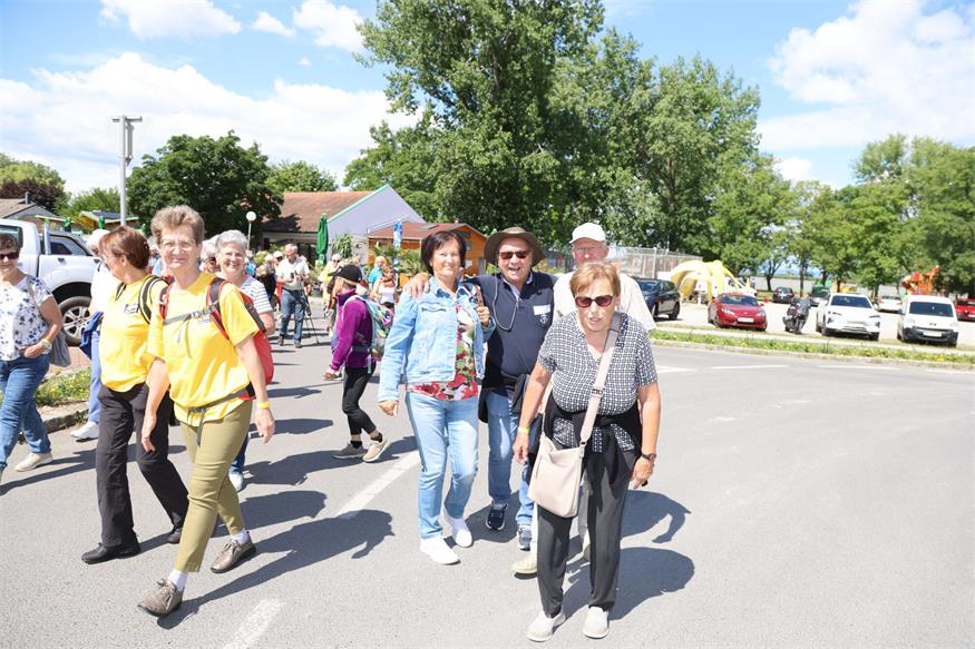 Seniorenbund: Rund 800 Teilnehmende beim Landeswandertag am Zicksee