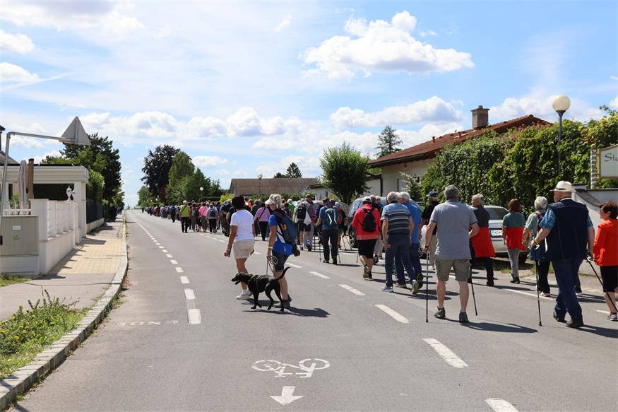 Seniorenbund: Rund 800 Teilnehmende beim Landeswandertag am Zicksee