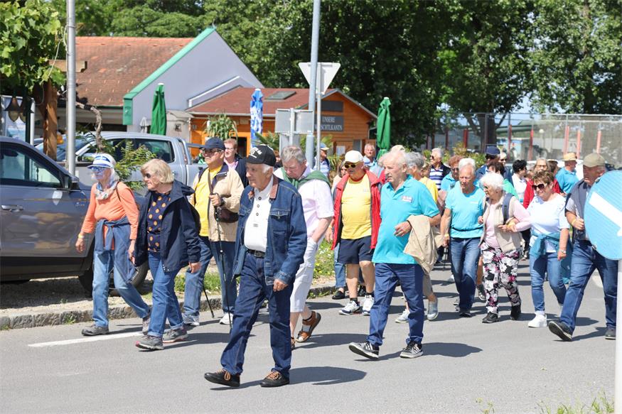 Seniorenbund: Rund 800 Teilnehmende beim Landeswandertag am Zicksee