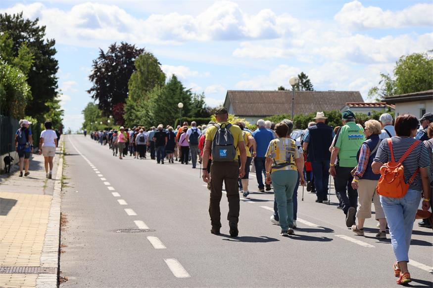 Seniorenbund: Rund 800 Teilnehmende beim Landeswandertag am Zicksee