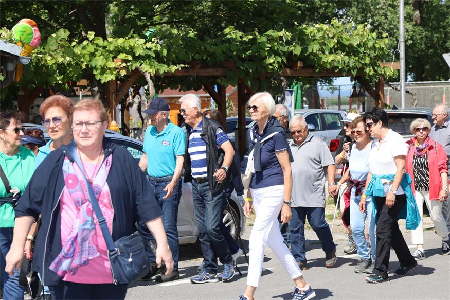 Seniorenbund: Rund 800 Teilnehmende beim Landeswandertag am Zicksee