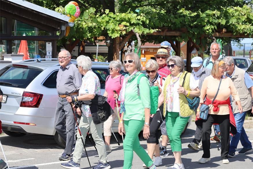 Seniorenbund: Rund 800 Teilnehmende beim Landeswandertag am Zicksee