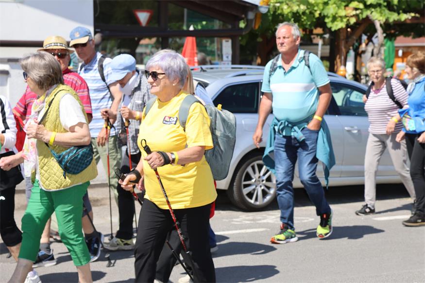 Seniorenbund: Rund 800 Teilnehmende beim Landeswandertag am Zicksee