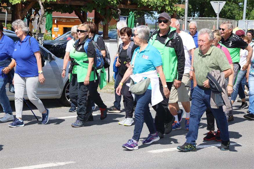 Seniorenbund: Rund 800 Teilnehmende beim Landeswandertag am Zicksee