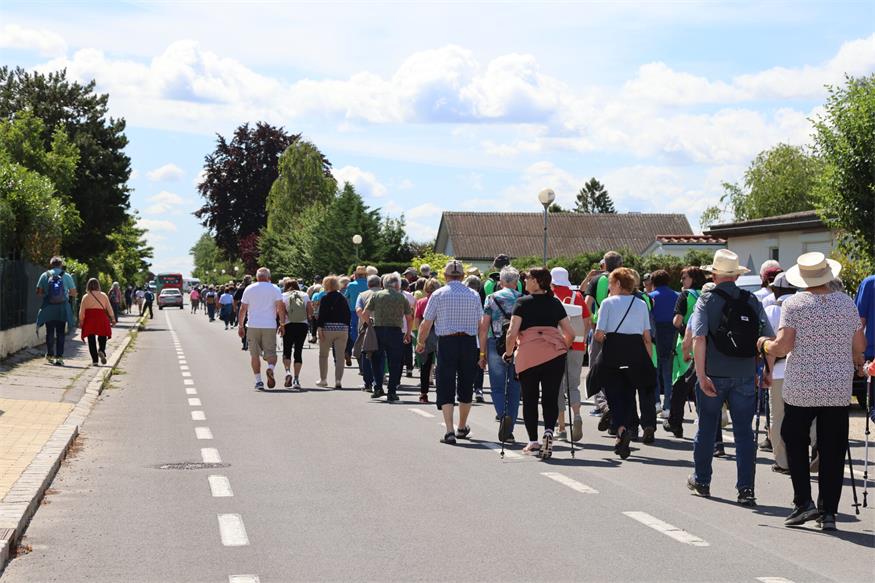 Seniorenbund: Rund 800 Teilnehmende beim Landeswandertag am Zicksee