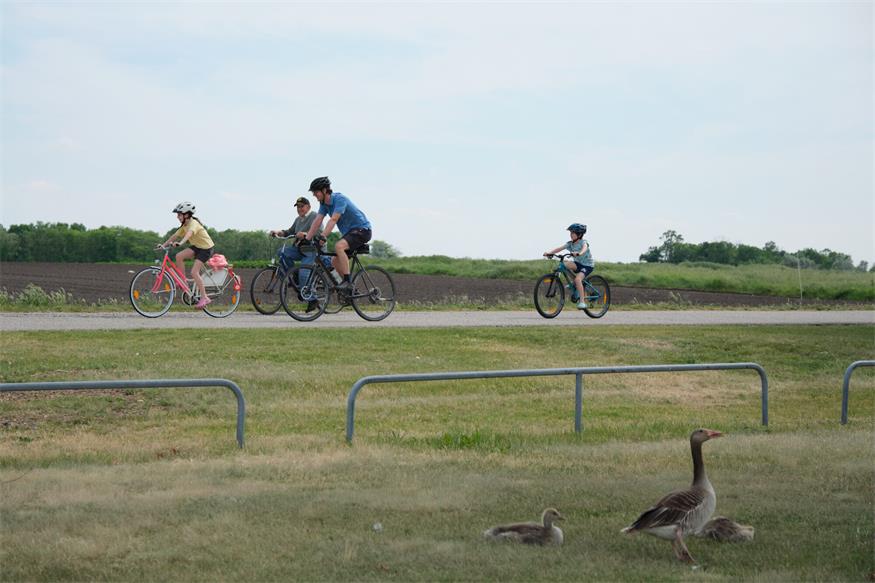 Interreg-Projekt: Nationalpark Radweg mit Feier am Zicksee eröffnet