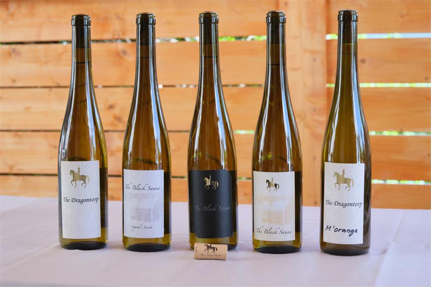 Illmitzer Entwicklungshilfe für finnischen Veltliner