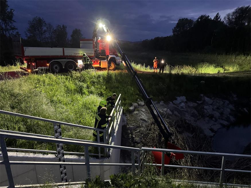Feuerwehr „befreite“ Rückhaltebecken von Treibgut und Ästen