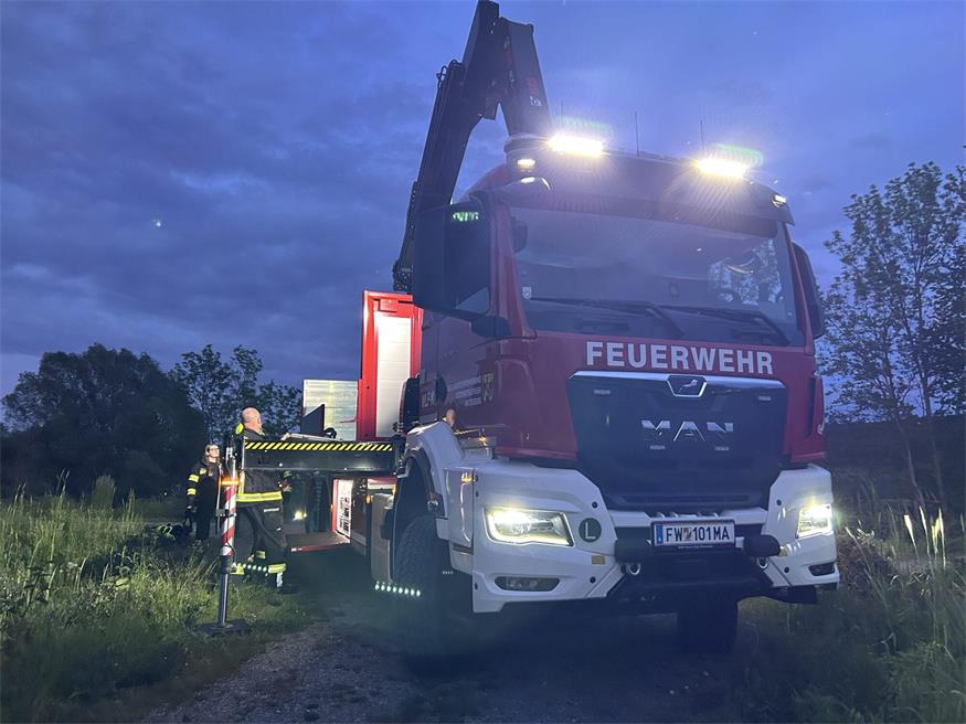 Feuerwehr „befreite“ Rückhaltebecken von Treibgut und Ästen
