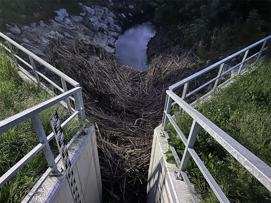Feuerwehr „befreite“ Rückhaltebecken von Treibgut und Ästen