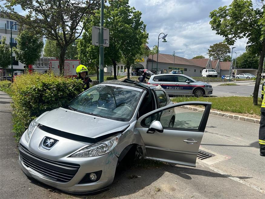 Lenker bei Pkw-Kollision mit Laterne verletzt