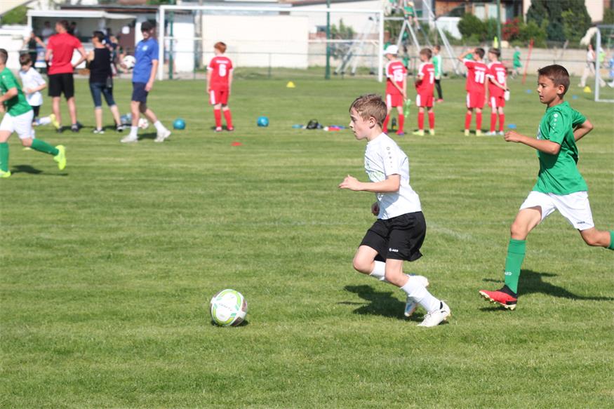 Volksschule Siegendorf und Zurndorf gewinnen ihre Sumsi-Cup Bezirksbewerbe