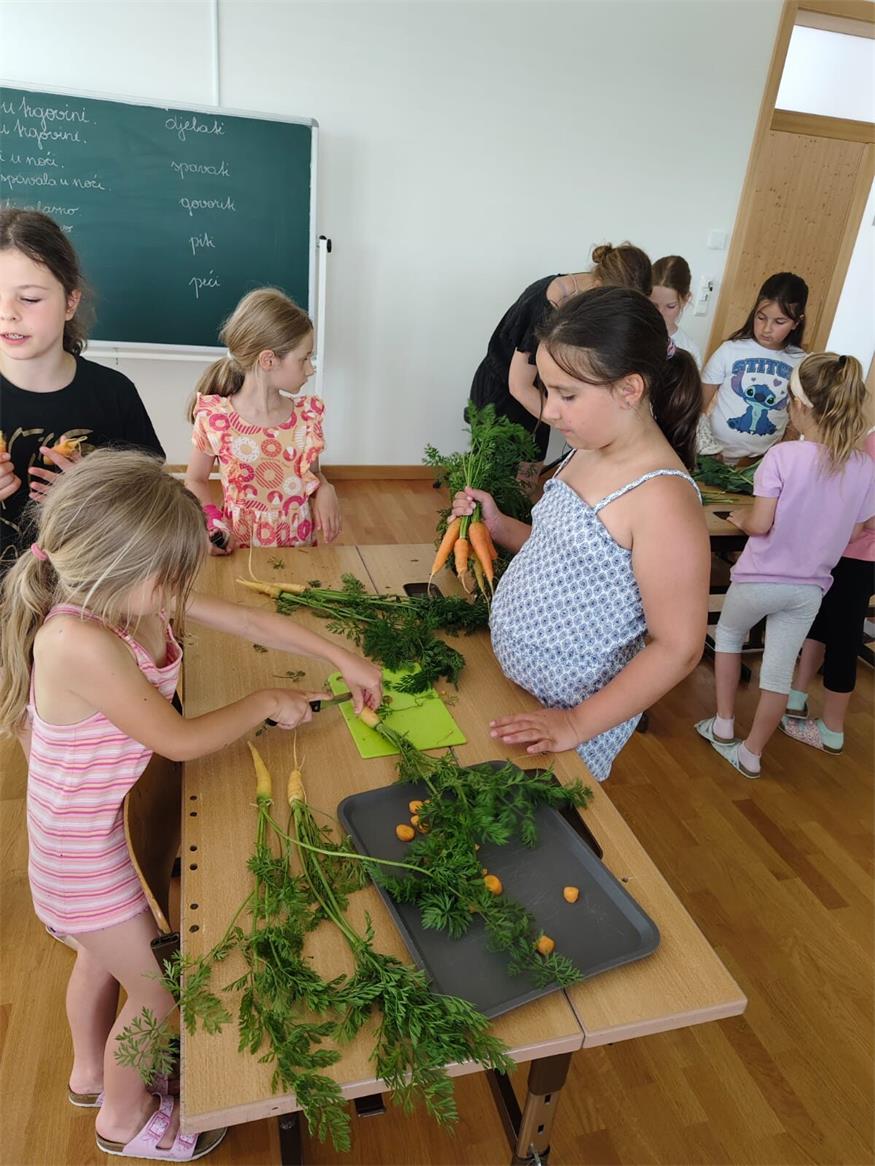 Neuberg: Gesundes aus dem Hochbeethof der Volksschule