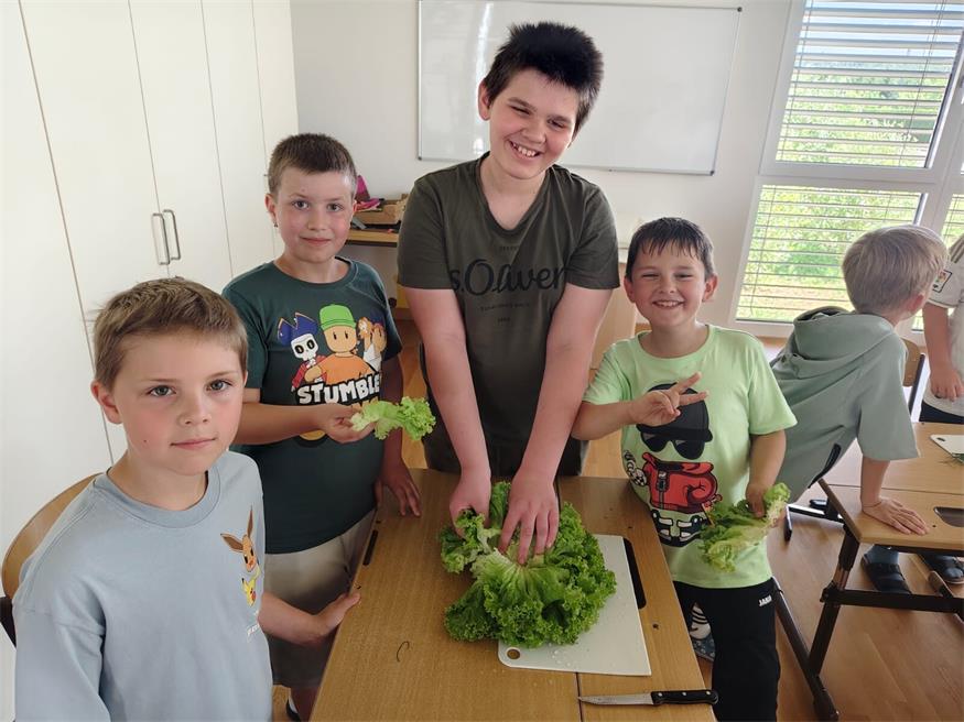 Neuberg: Gesundes aus dem Hochbeethof der Volksschule