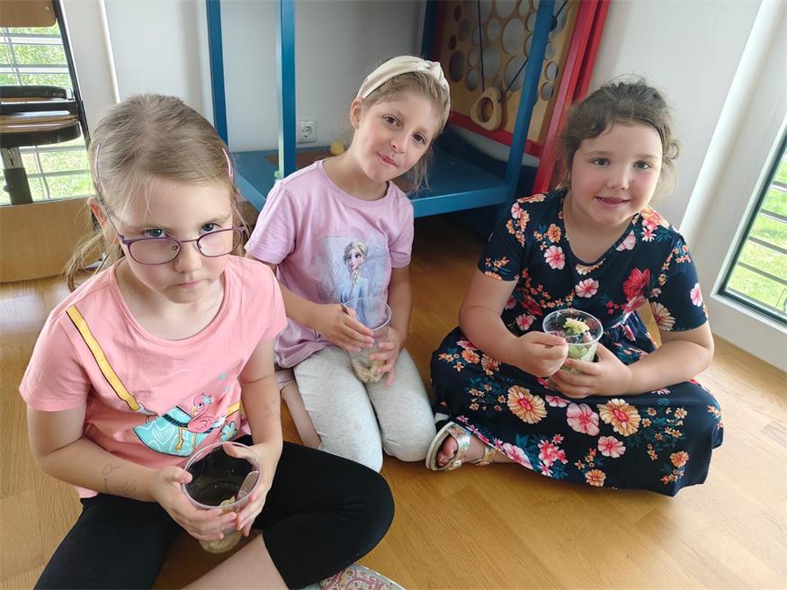 Neuberg: Gesundes aus dem Hochbeethof der Volksschule