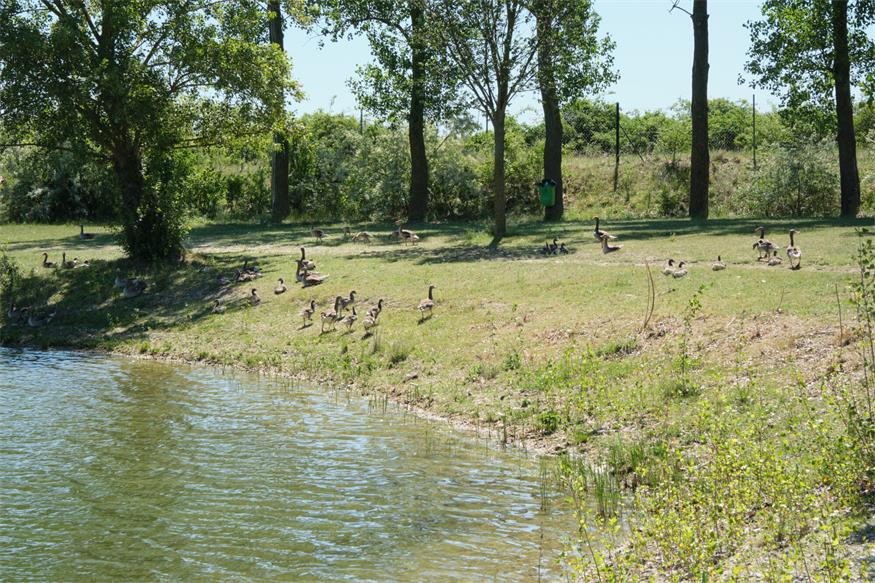 Badesee Apetlon startet in neue Saison