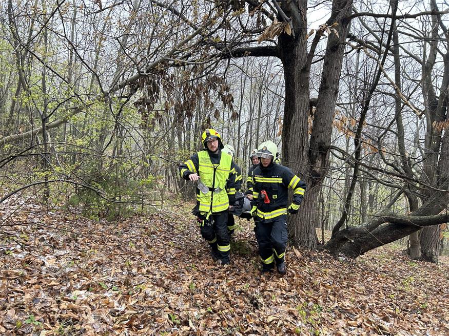 FF Forchtenau übte: Suchaktion im Wald