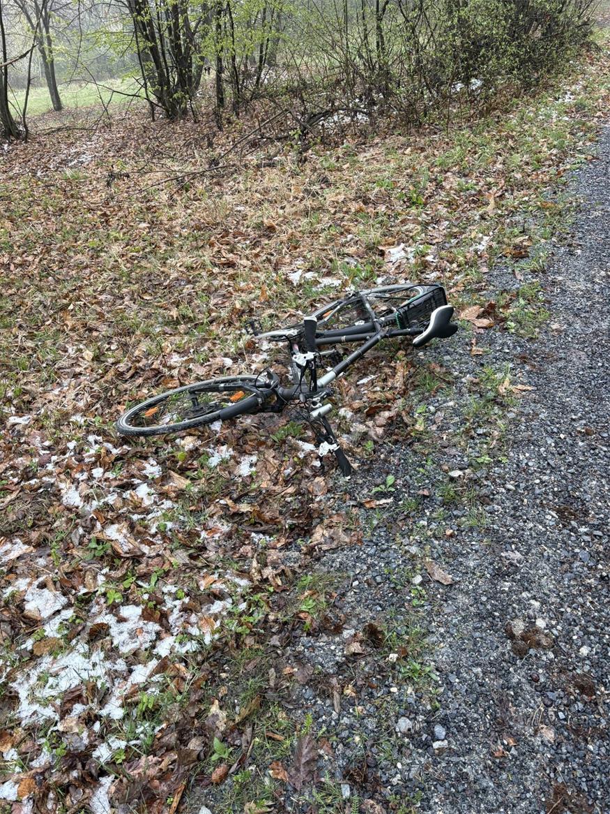 FF Forchtenau übte: Suchaktion im Wald