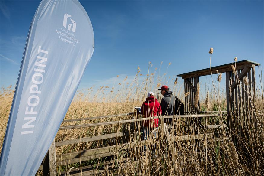 4.000 Gäste! Rekordbesuch bei der Bird Experience