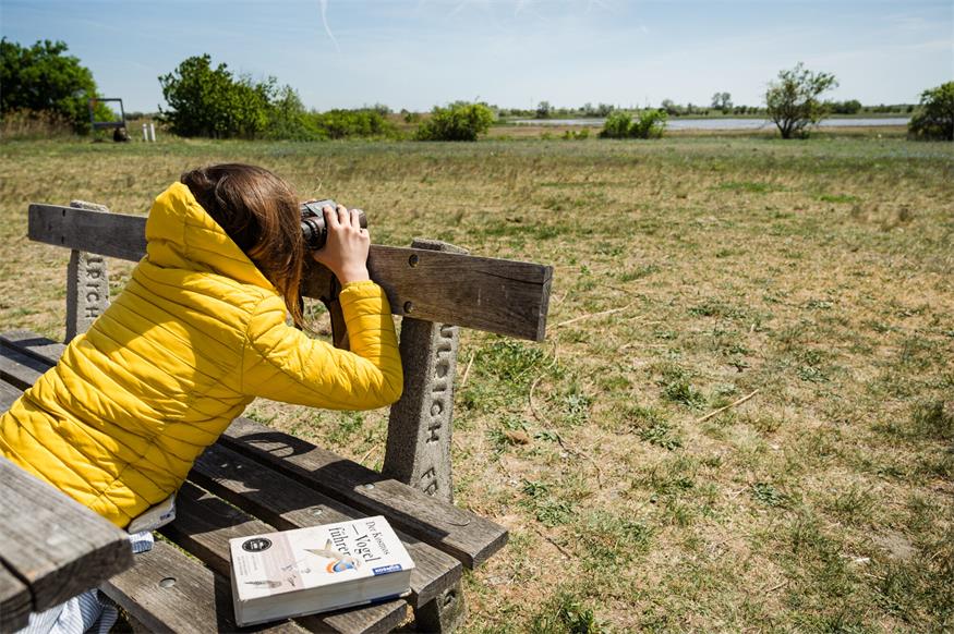 4.000 Gäste! Rekordbesuch bei der Bird Experience