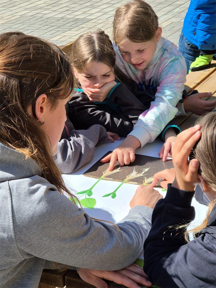 Pflanzenworkshop in der Volksschule Markt St. Martin