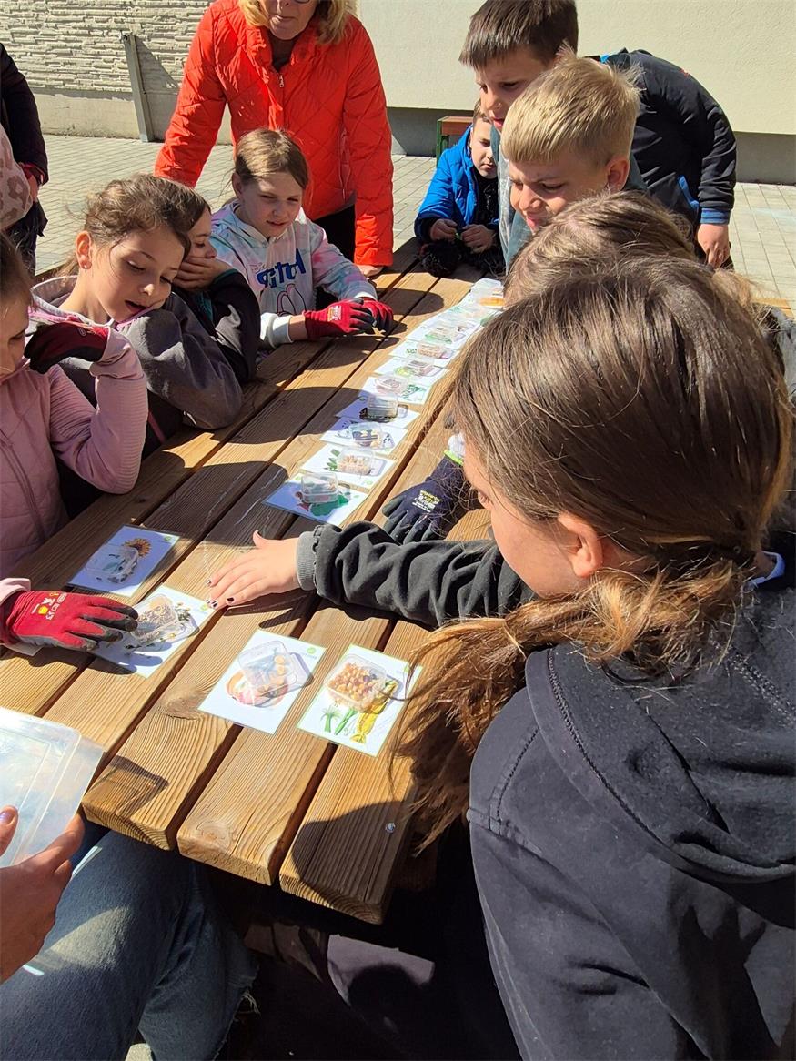 Pflanzenworkshop in der Volksschule Markt St. Martin