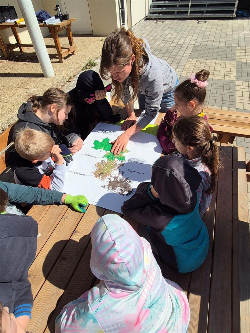 Pflanzenworkshop in der Volksschule Markt St. Martin