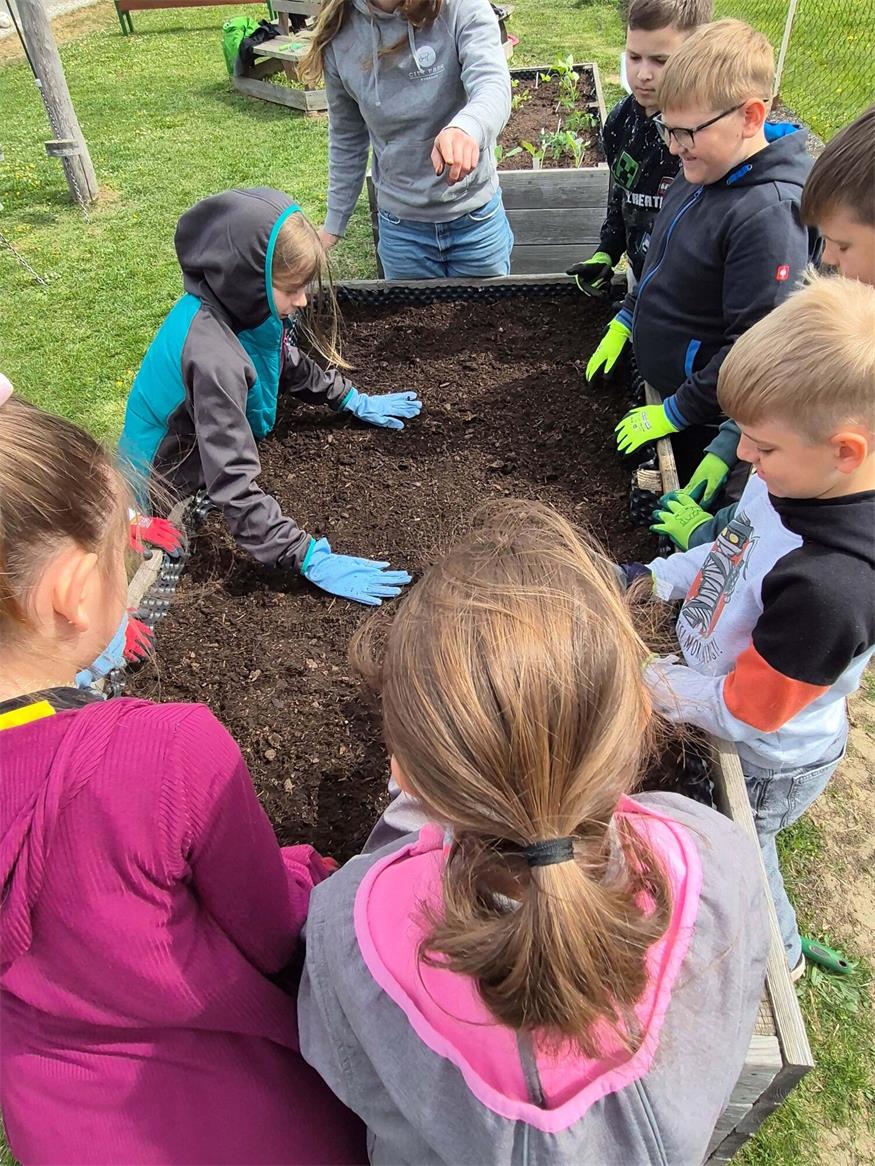 Pflanzenworkshop in der Volksschule Markt St. Martin