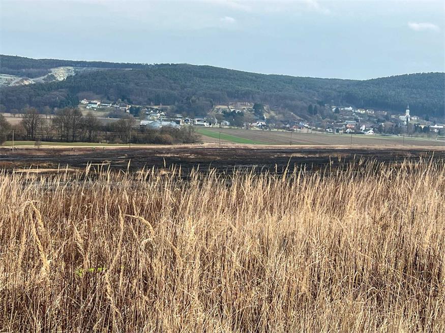 Badersdorf: Fünf Hektar bei Vegetationsbrand zerstört