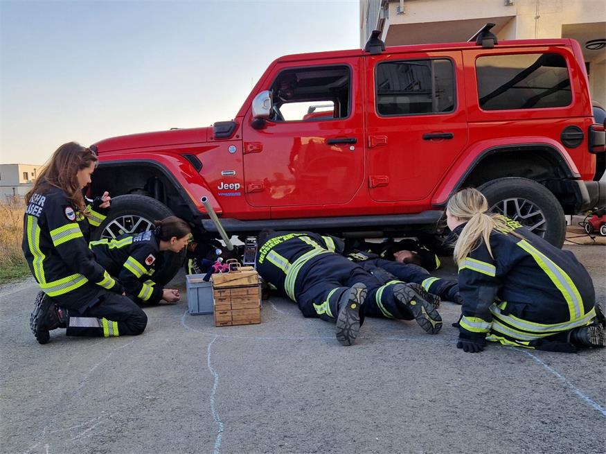 Neusiedl: Stubentiger steckte unter Auto fest