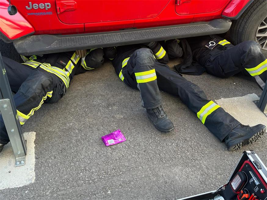 Neusiedl: Stubentiger steckte unter Auto fest