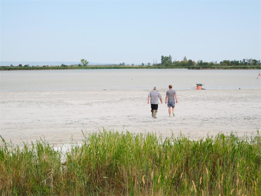 Fischrettung am Darscho bei Apetlon