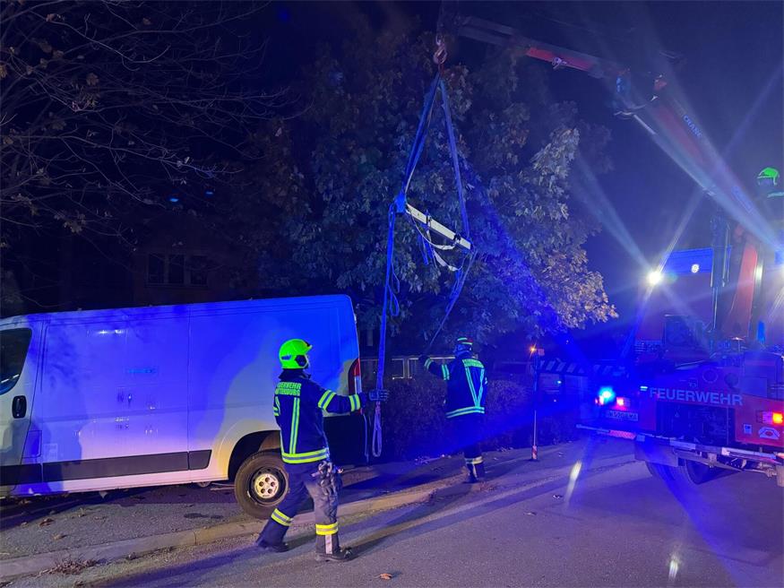 Mattersburg: Kastenwagen prallte gegen Baum