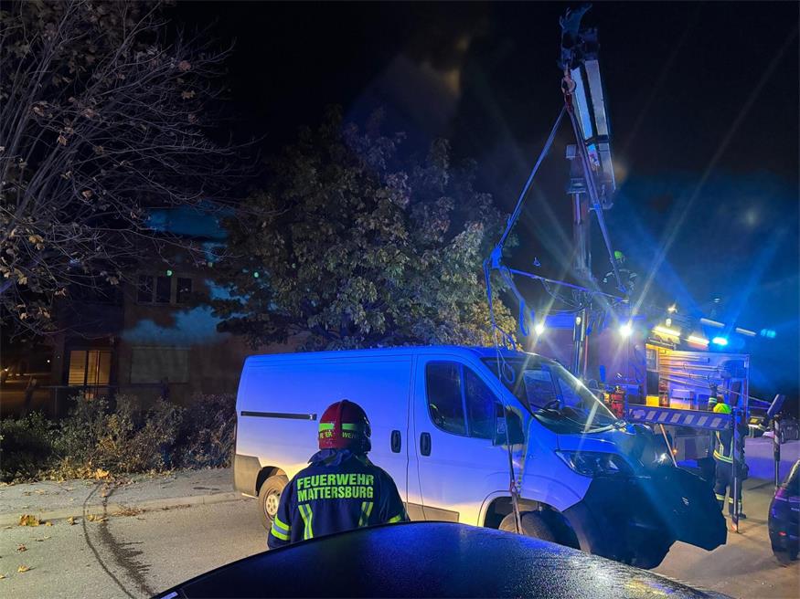 Mattersburg: Kastenwagen prallte gegen Baum