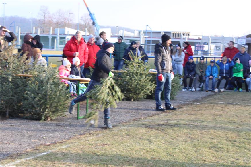 In Stoob „flogen“ Christbäume