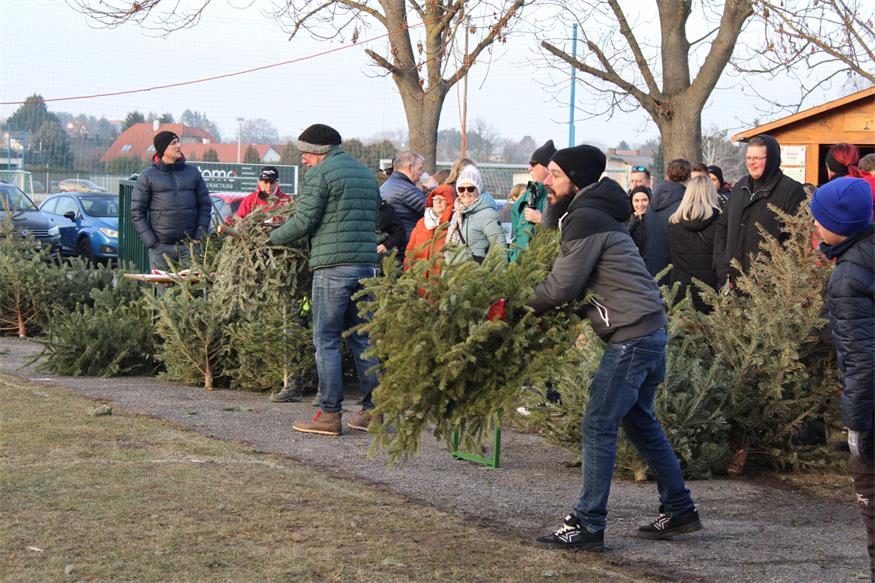 In Stoob „flogen“ Christbäume