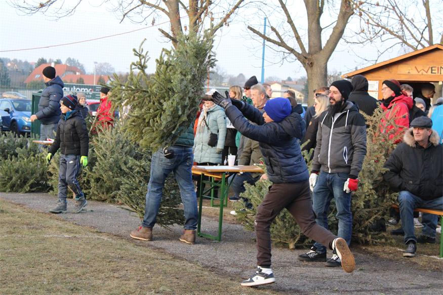 In Stoob „flogen“ Christbäume
