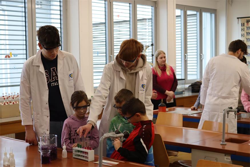 Junge Talente beim MINT-Tag im Gymnasium Oberpullendorf fördern