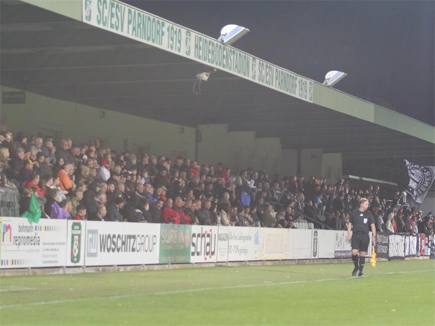 1:1! Parndorf erkämpft sich Punkt gegen den Wiener Sport-Club