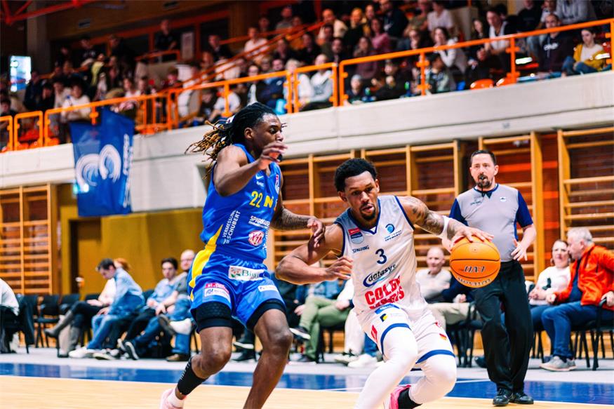Zwei Siege für die Dragonz, zwei Schritte Richtung Play-off