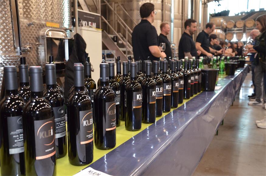 Frühlingsgefühle im Glas: Erster Weinfrühling in Andau