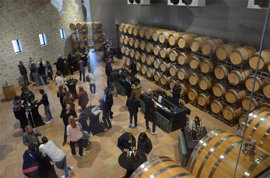 Frühlingsgefühle im Glas: Erster Weinfrühling in Andau