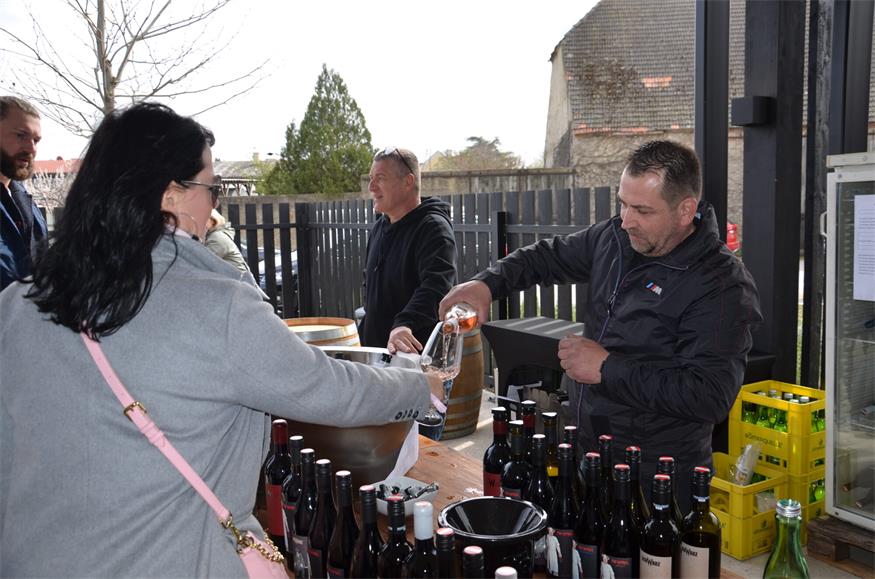 Frühlingsgefühle im Glas: Erster Weinfrühling in Andau
