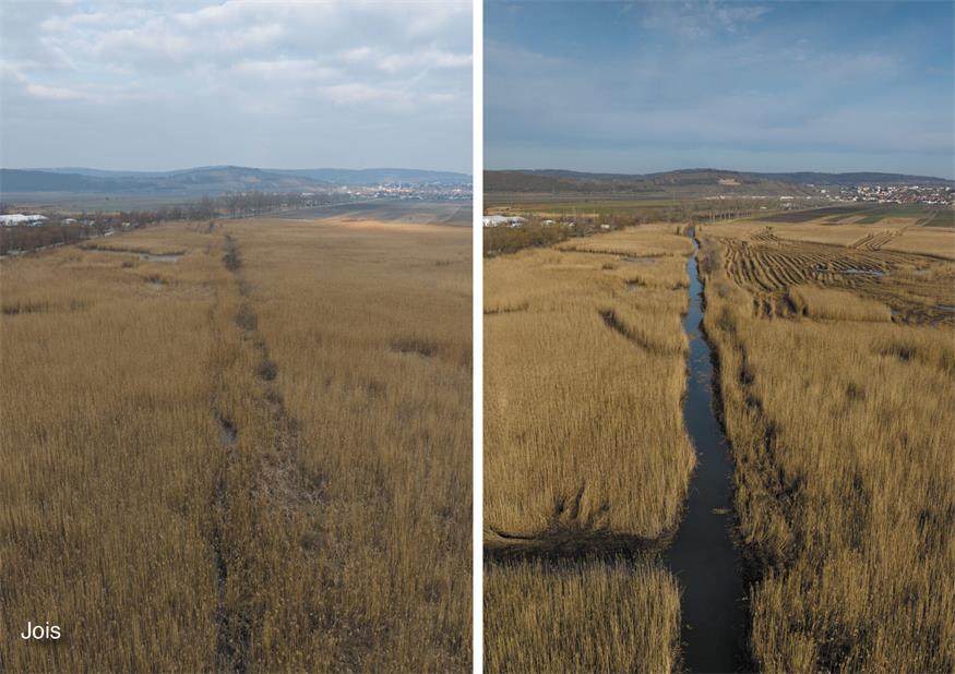 Von Schlammsaugen bis Donauzufluss: Seemanagement zieht Bilanz