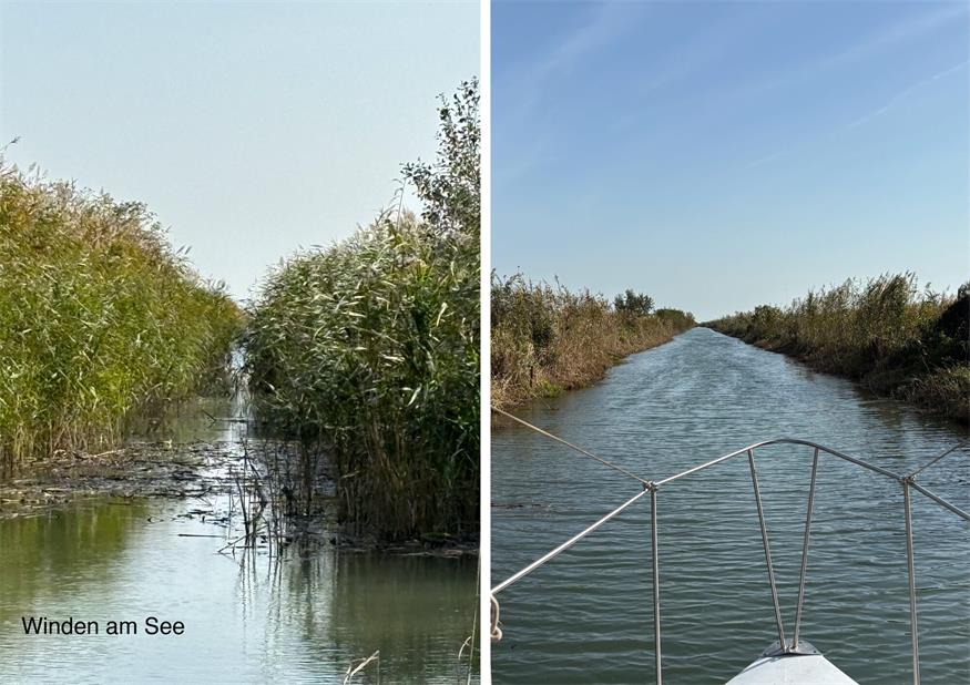 Von Schlammsaugen bis Donauzufluss: Seemanagement zieht Bilanz
