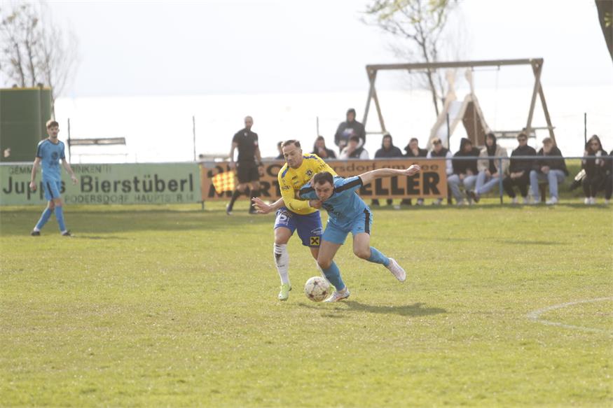 Zeiselbären wieder am Platz der Sonne