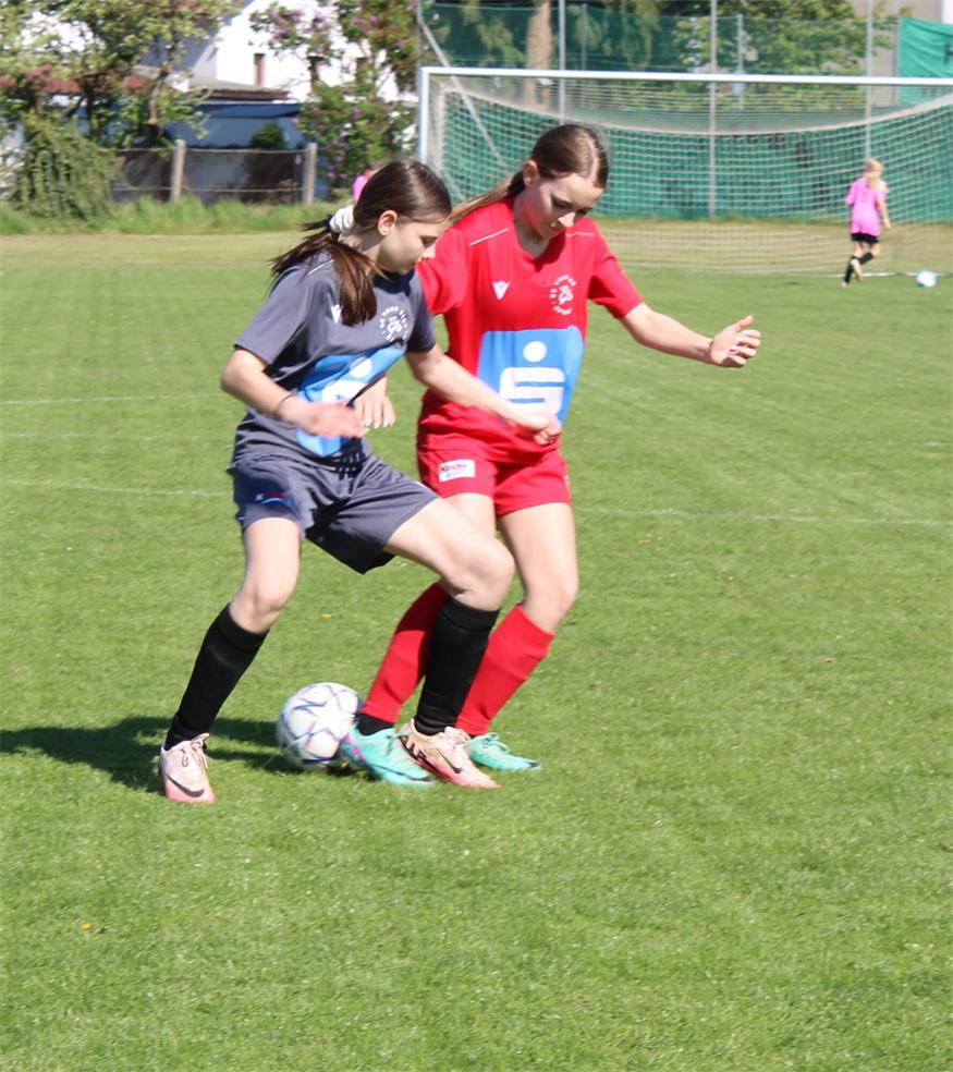 Oberpullendorfer Gymnasium-Girls dribbelten ins Landesfinale