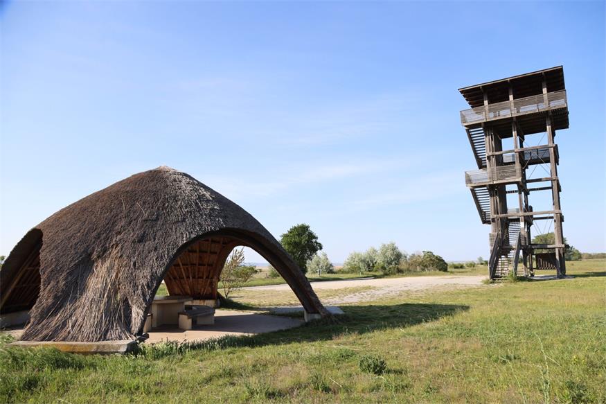 Um den Neusiedler See: Radweg mit Natur, Kultur und Kulinarik