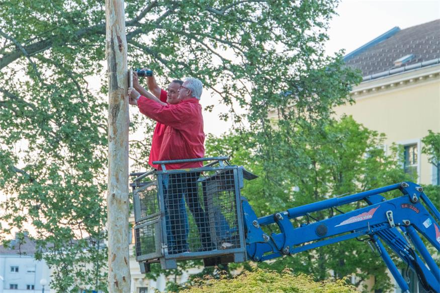 Fackelzug zum 1. Mai in Bruckneudorf und Bruck