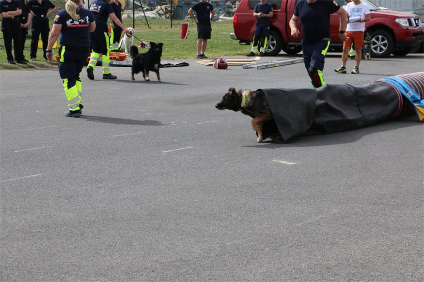 Ein actionreicher Tag bei der Feuerwehr Oberpullendorf